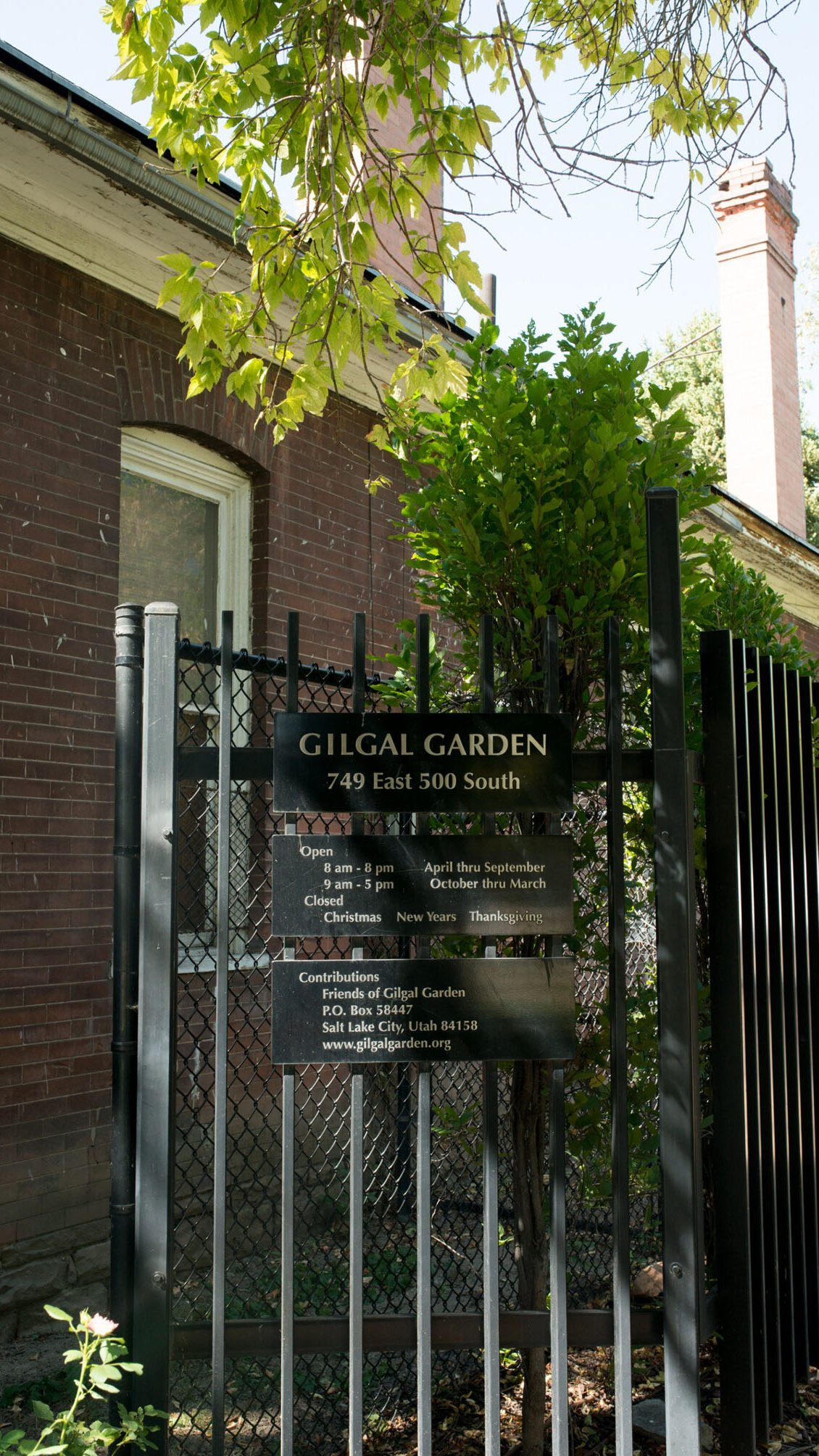 Gilgal Pic